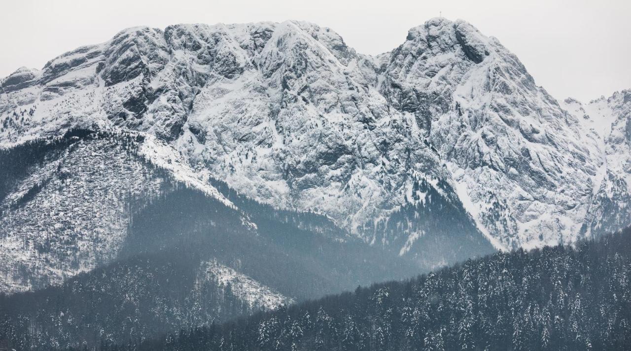Szymaszkowa 3 By Homeprime Zakopane Eksteriør billede